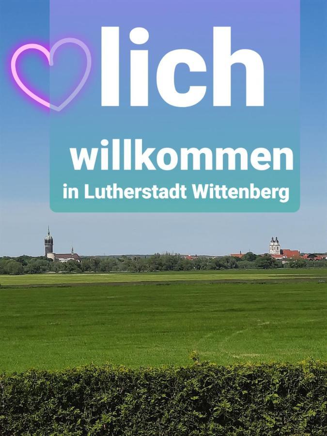 Ferienwohnung Mit Elbwiesenblick Wittenberg Exteriör bild