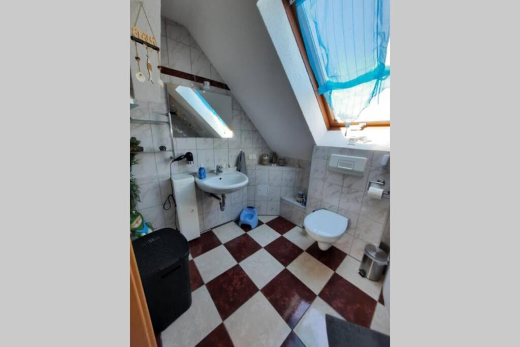 Ferienwohnung Mit Elbwiesenblick Wittenberg Exteriör bild