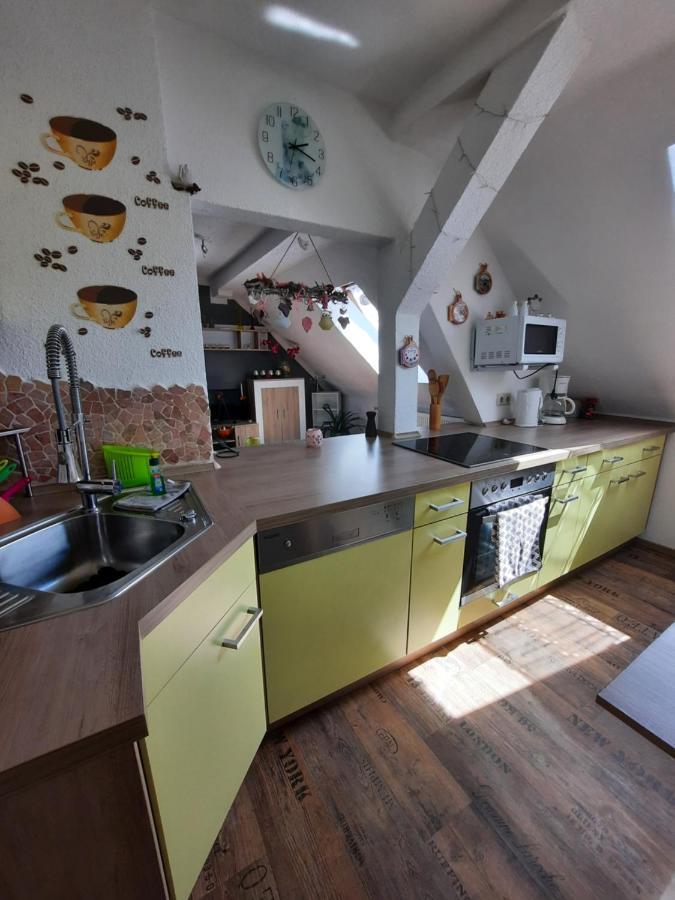 Ferienwohnung Mit Elbwiesenblick Wittenberg Exteriör bild