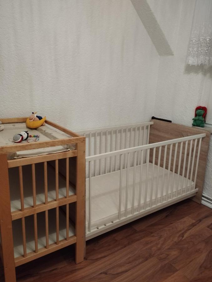 Ferienwohnung Mit Elbwiesenblick Wittenberg Exteriör bild