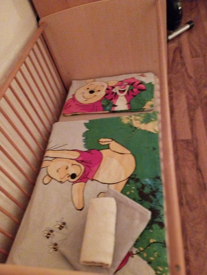 Ferienwohnung Mit Elbwiesenblick Wittenberg Exteriör bild